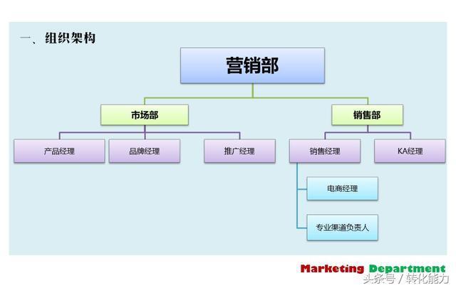 創新企業營銷部全面規劃方案